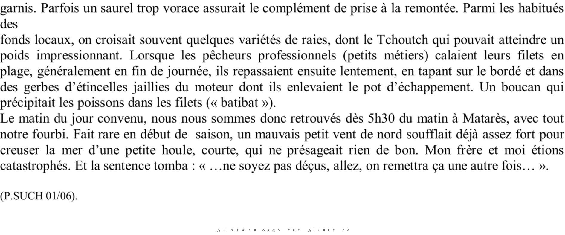 UNE JOURNEE DE PECHE 02.JPG
